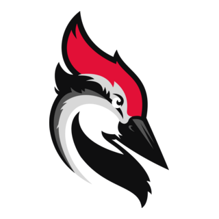 woodpecker